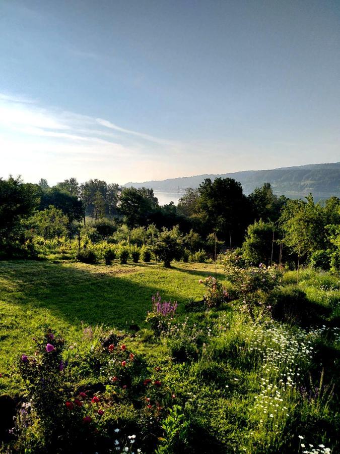 Seenah - Ihre Wohnung Am Bodensee / Untersee Гаенхофен Екстериор снимка